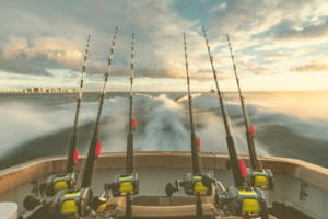 Best Fishing Rod and Reels