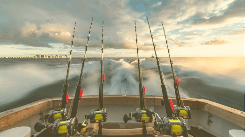 Best Fishing Rod and Reels