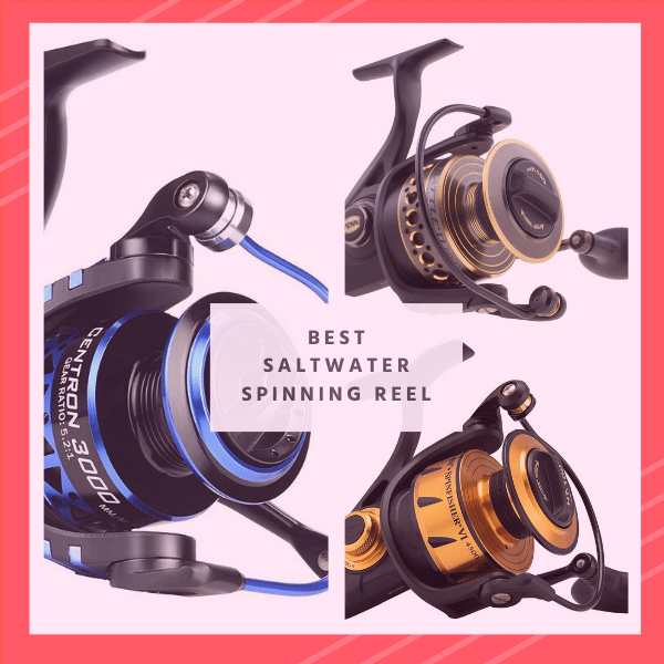 Best Saltwater Spinning Reel