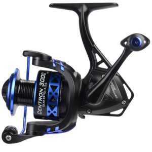 KastKing Summer and Centron Spinning Reel 1