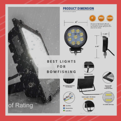 Best Lights for Bowfishing: Complete Reviews & Buying Guide