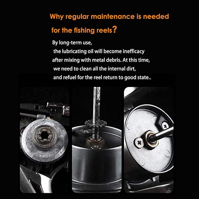 maintenance of fishing reel